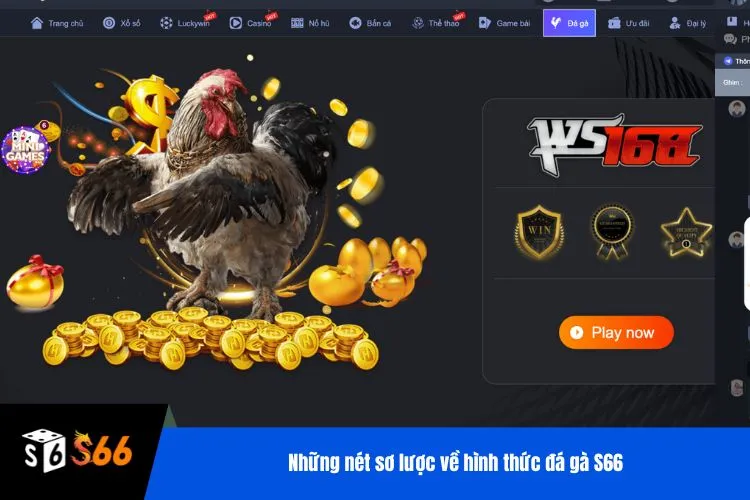 Những nét sơ lược về hình thức đá gà S66