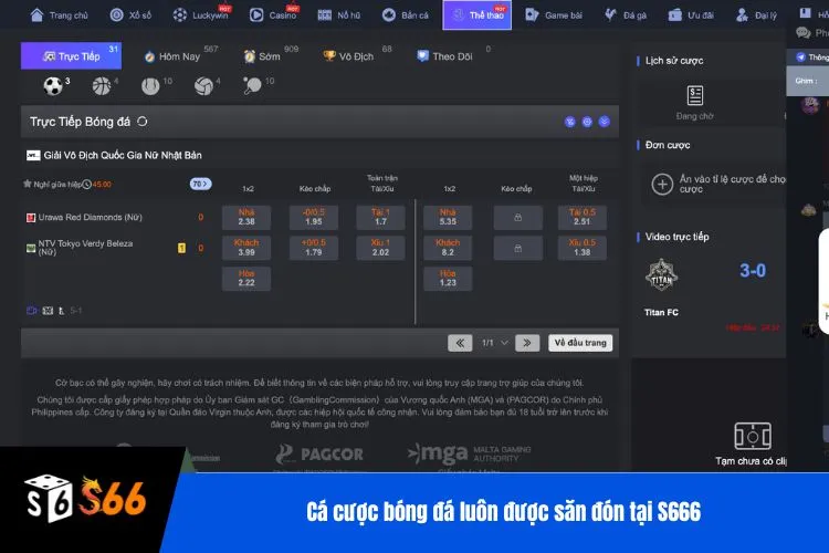 Cá cược bóng đá luôn được săn đón tại S666
